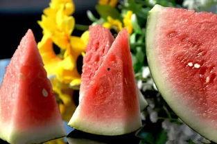 吃日本瓜的网红